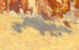 close up of horse legs running in grass