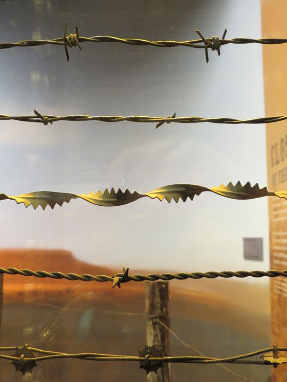 barbed wire display
