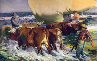 men directing a herd of cattle in the ocean shore next to a sail boat