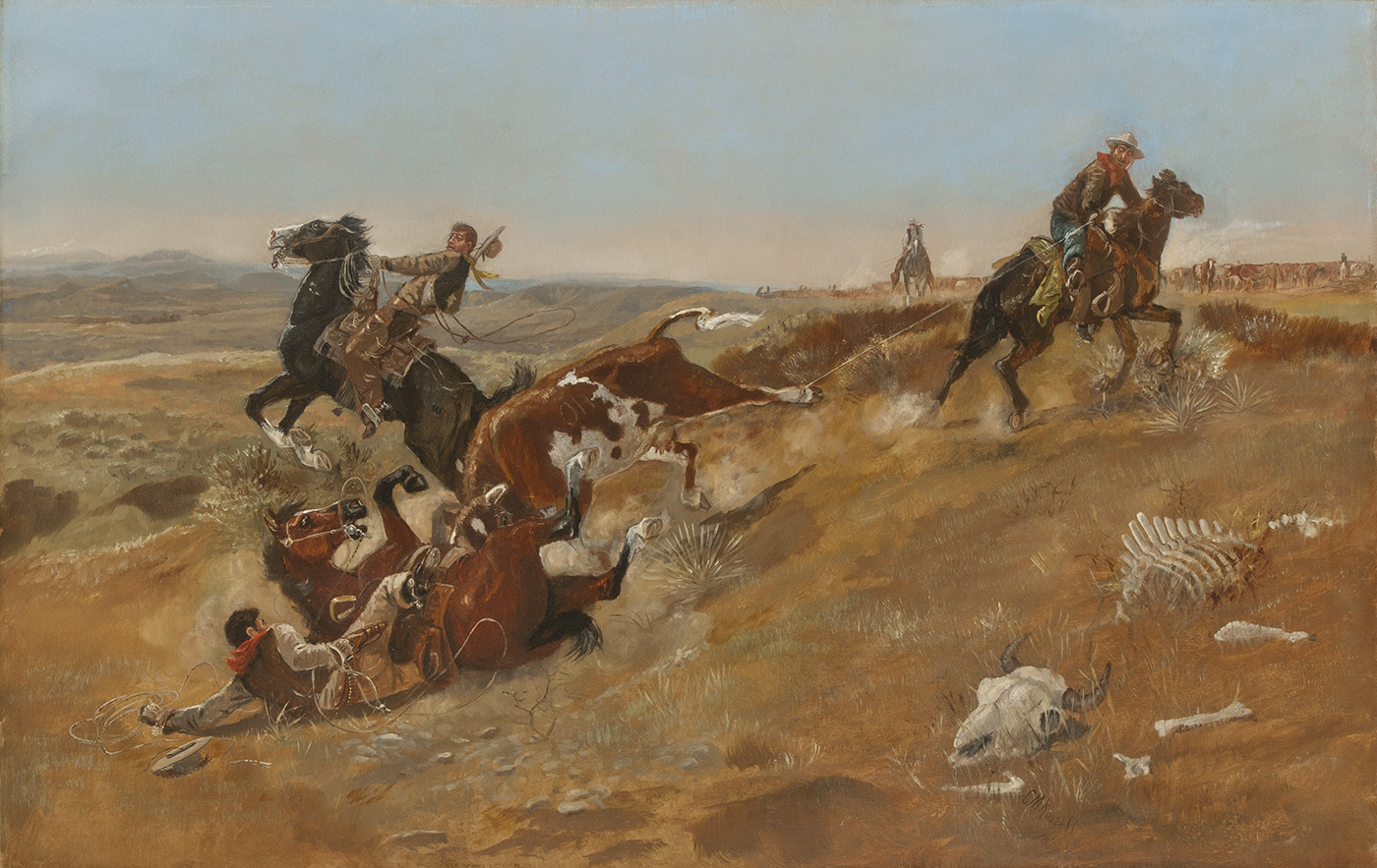 A cow knocks one of the herding cowboys and his horse to the ground.