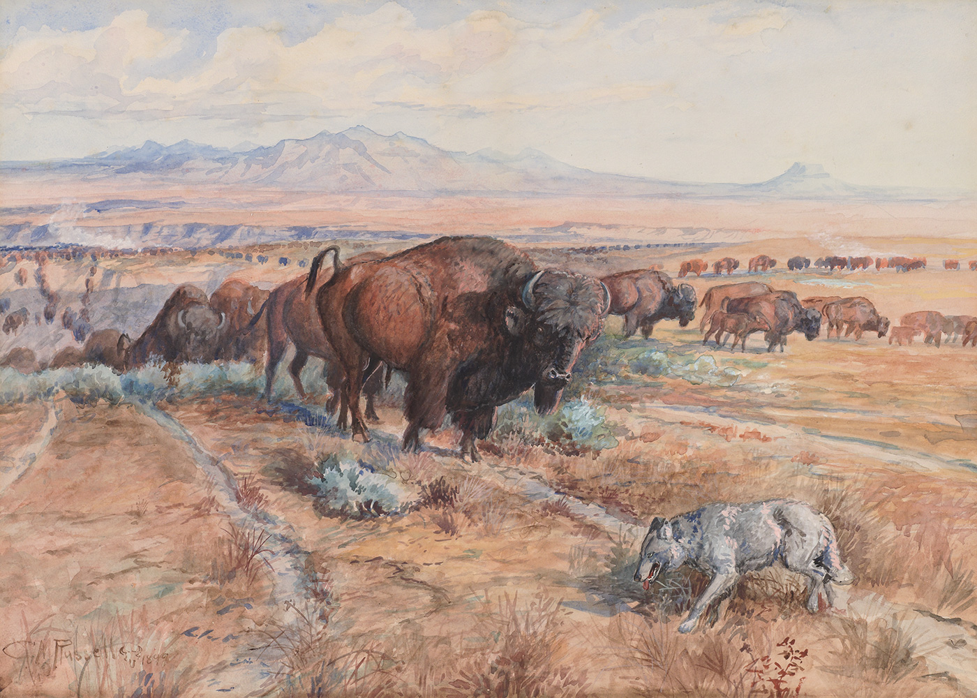 A herd of bison move across a landscape with a wolf in the foreground.