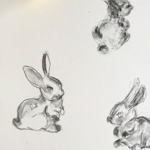 Photo of a drawing of 3 bunnies in charcoal