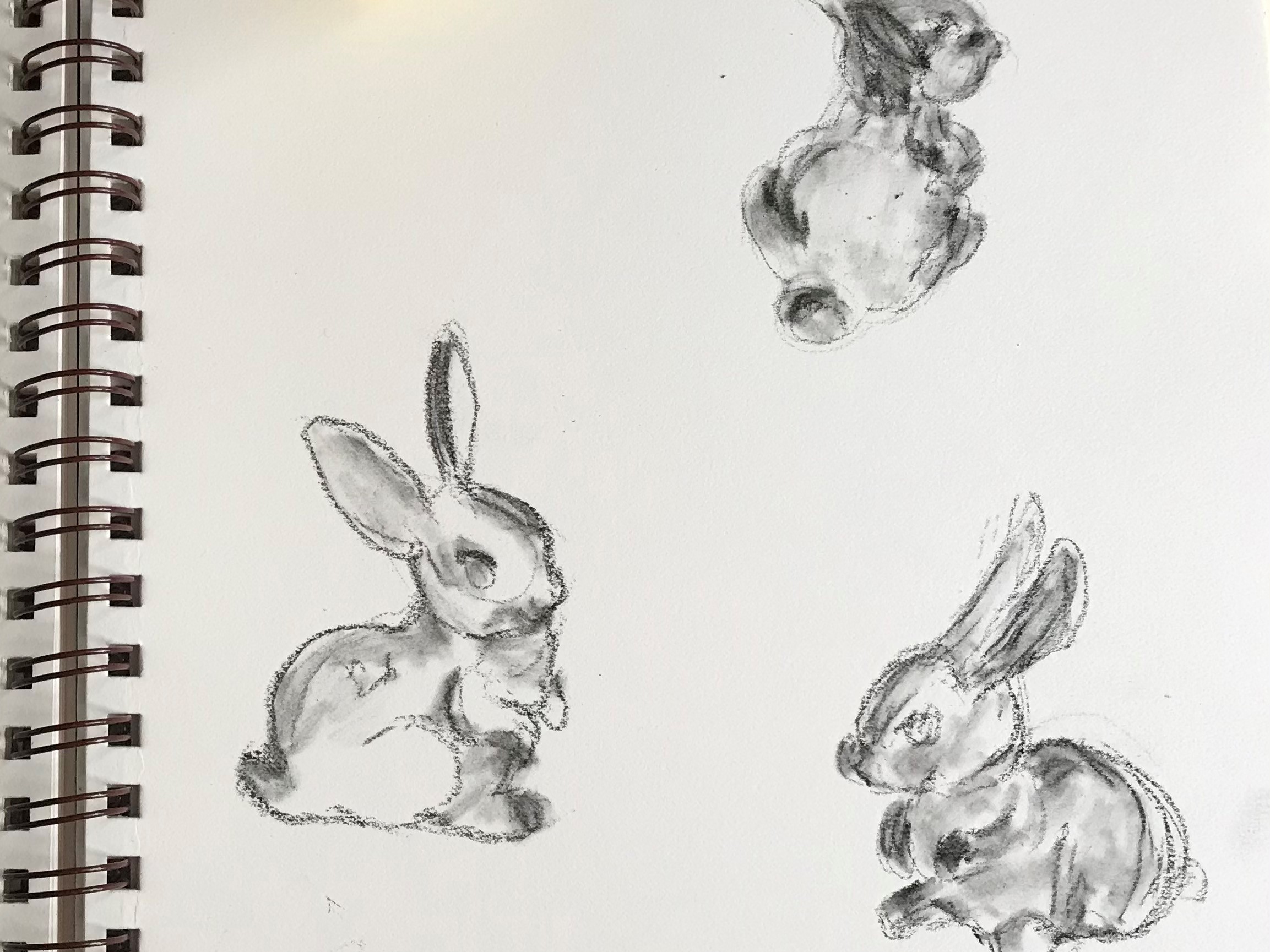 Photo of a drawing of 3 bunnies in charcoal