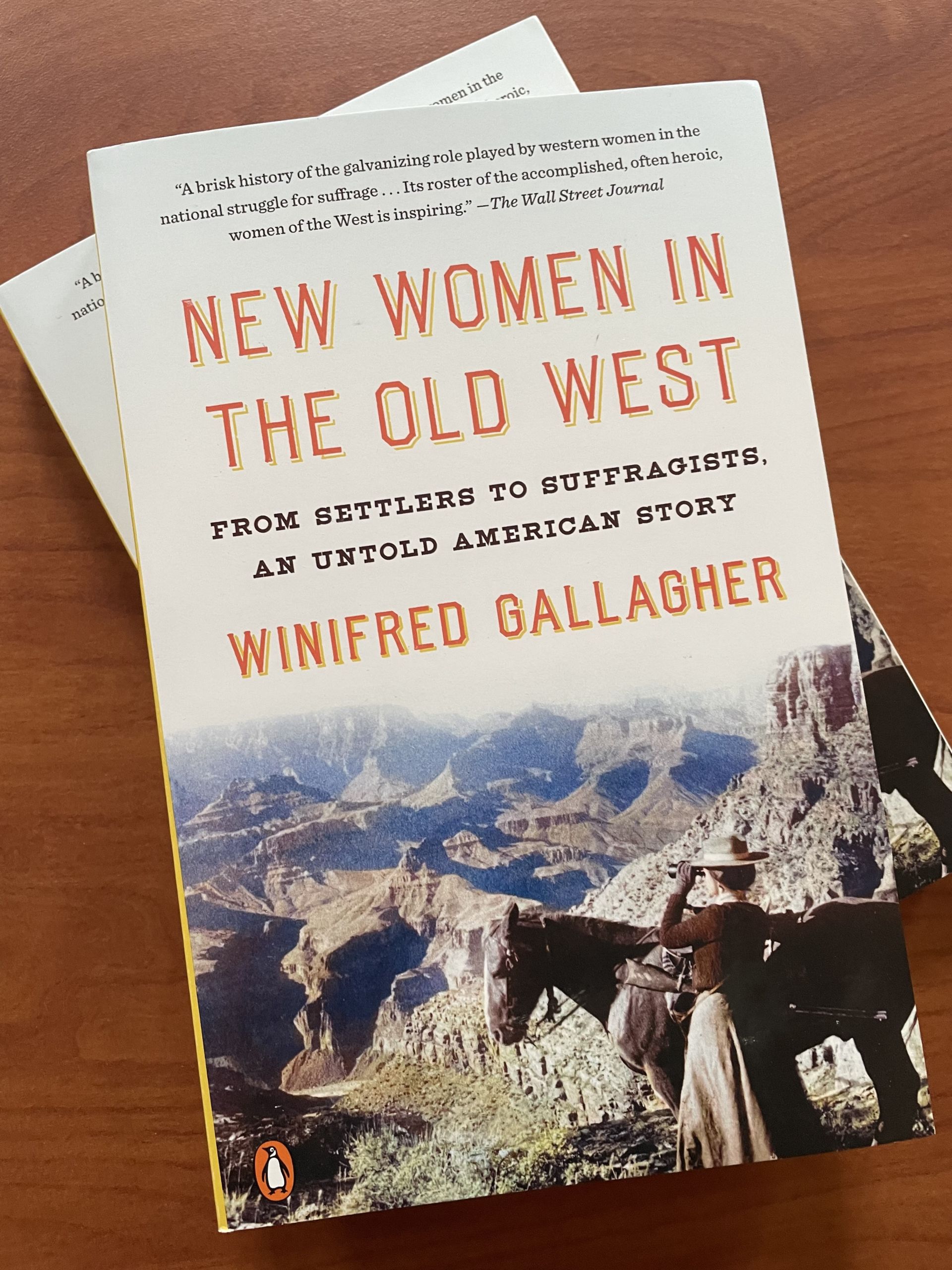 cover of book "New Women in the Old West"