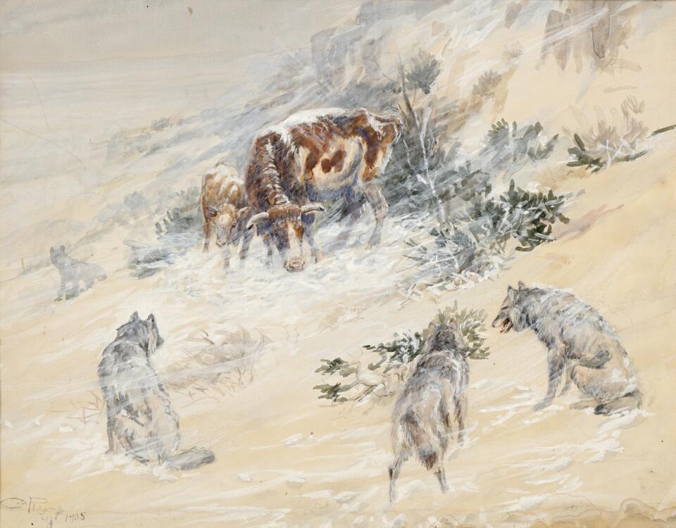 watercolor painting of cows in a snowstorm surrounded by wolves