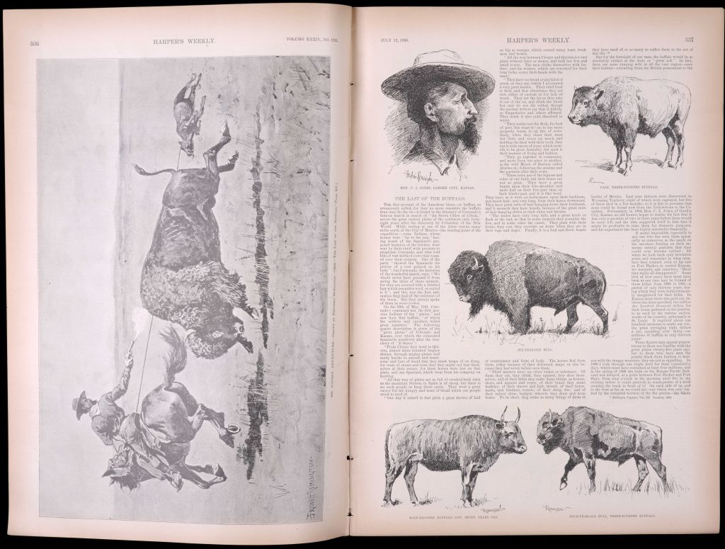 book opened to article with Remington's buffalo illustrations