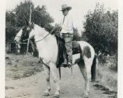 White cowboy posed atop a paint horse.