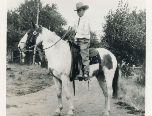 Joe de Yong: The Cowboy Consultant
