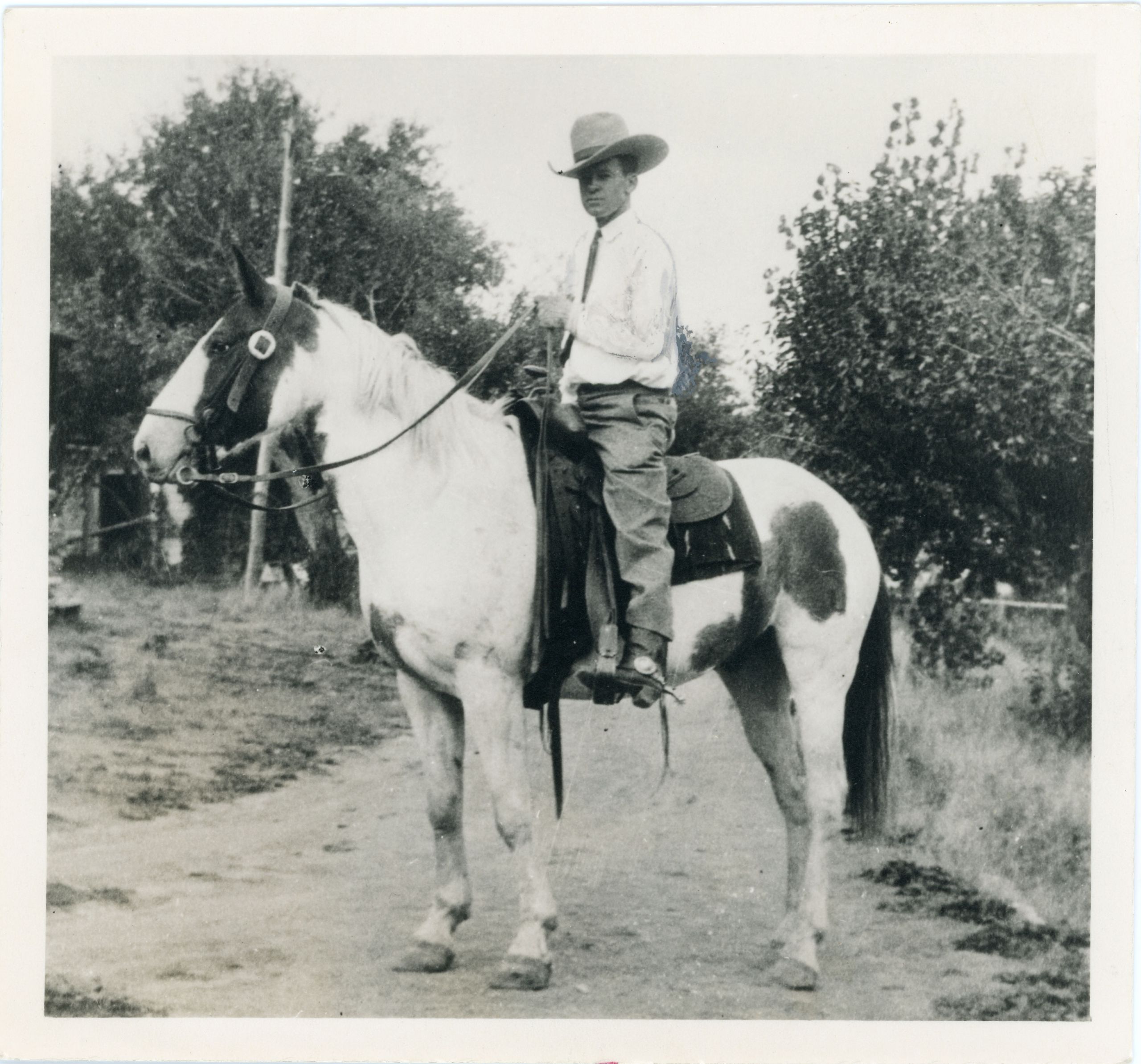 White cowboy posed atop a paint horse.