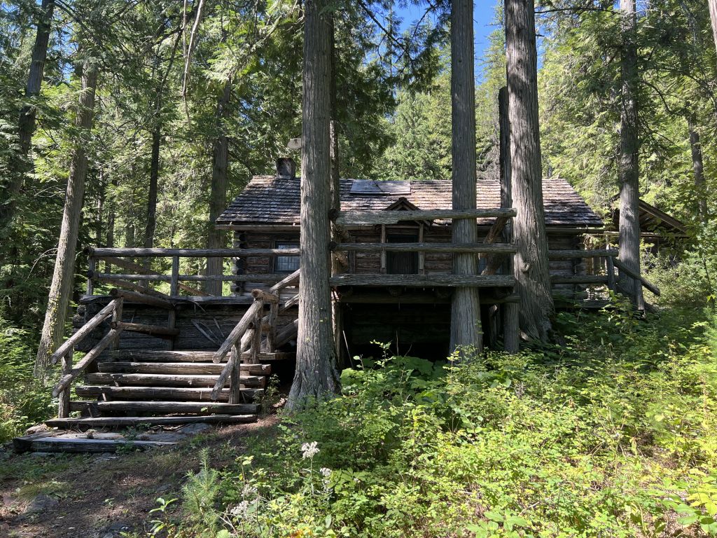 a log cabin home tucked behind tall pine trees